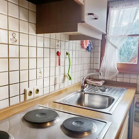 Ferienwohnungen Vogt'S Libding Bad Rippoldsau-Schapbach Extérieur photo