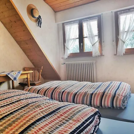 Ferienwohnungen Vogt'S Libding Bad Rippoldsau-Schapbach Extérieur photo