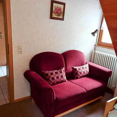 Ferienwohnungen Vogt'S Libding Bad Rippoldsau-Schapbach Extérieur photo