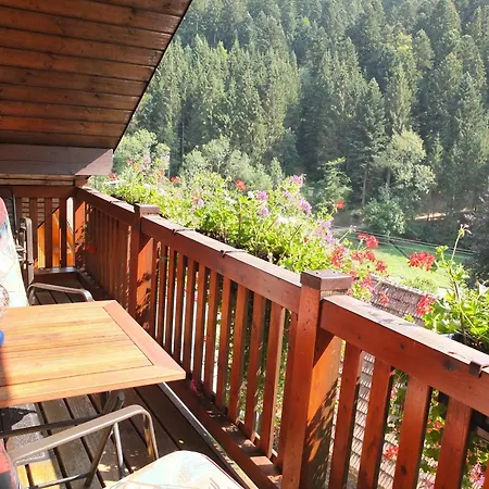 Ferienwohnungen Vogt'S Libding Bad Rippoldsau-Schapbach Extérieur photo