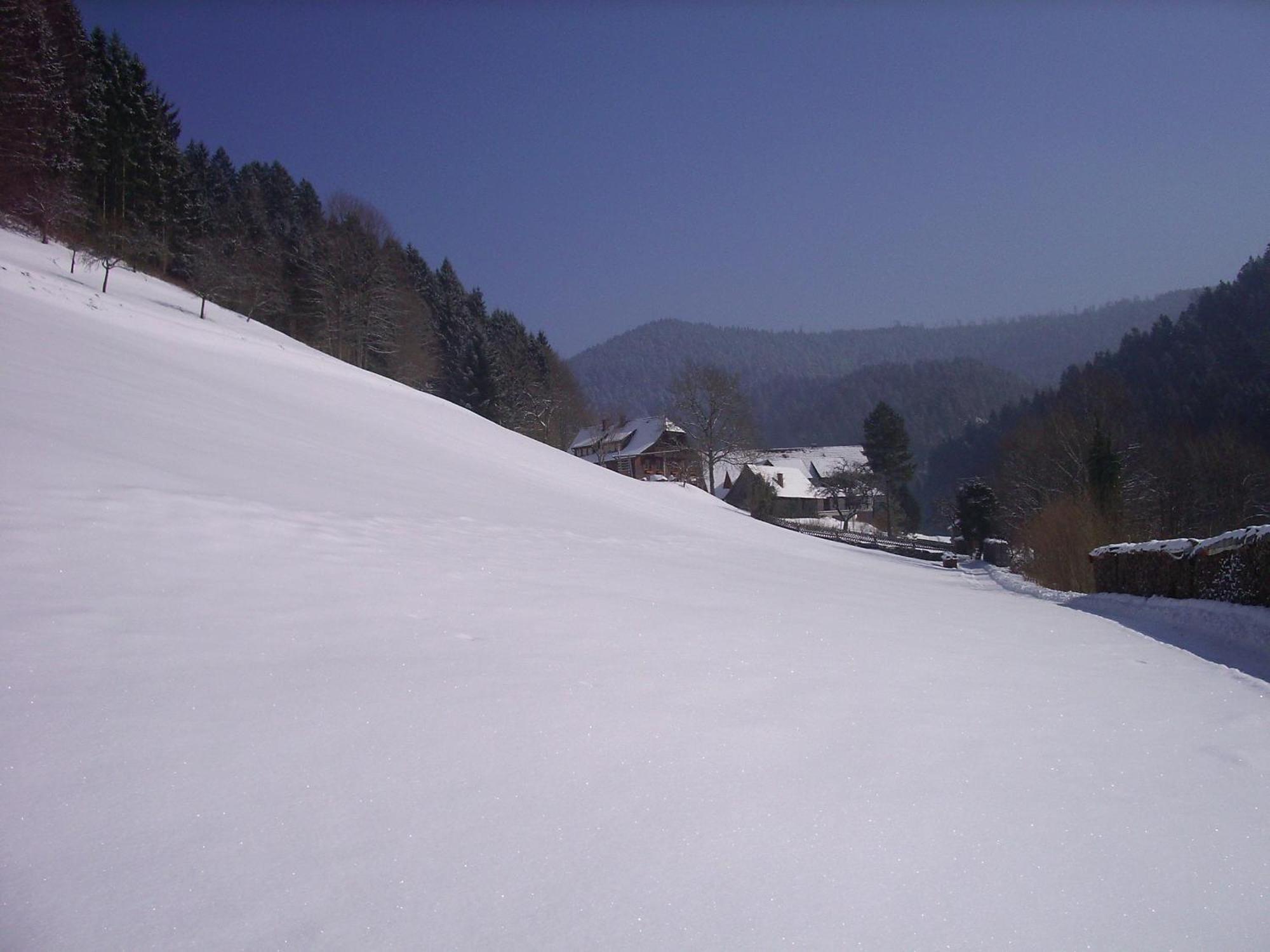 Vogt's Libding Bad Rippoldsau-Schapbach