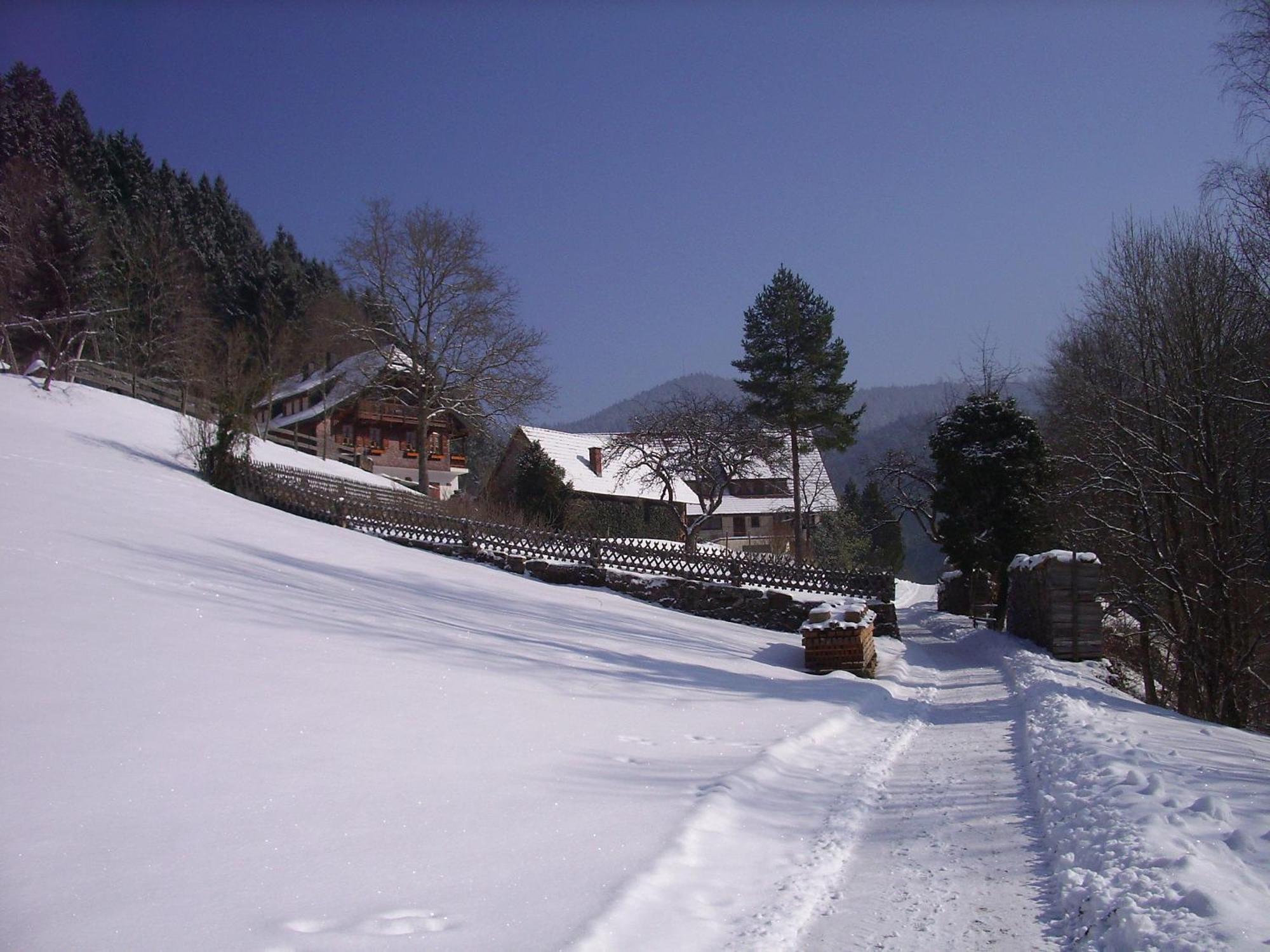 Vogt's Libding Appartement Bad Rippoldsau-Schapbach